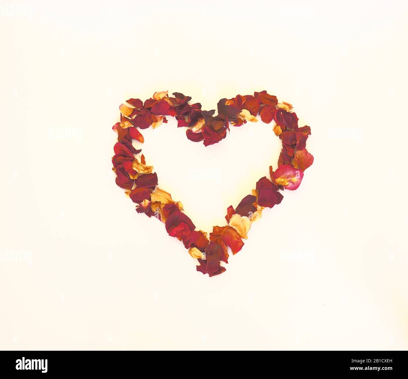 Coeur créé à partir de pétales de rose rouges séchés sur fond blanc pour créer une image tridimensionnelle Banque D'Images