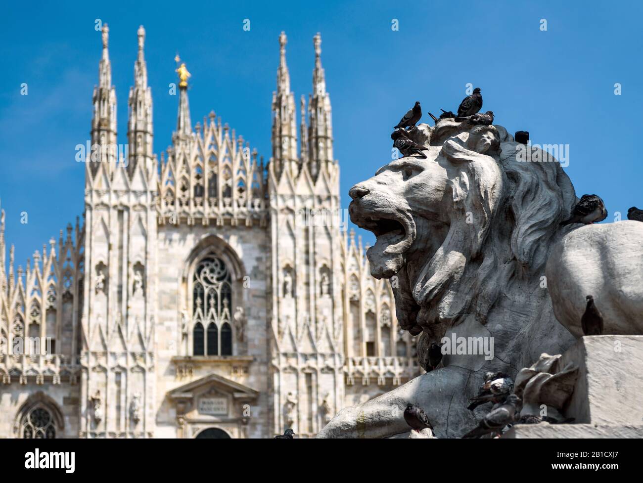 Sculpture d'un lion dans le monument de Victor Emanuel II sur la Piazza del Duomo à Milan, en Italie. La cathédrale de Milan (Duomo di Milano) dans l' Banque D'Images