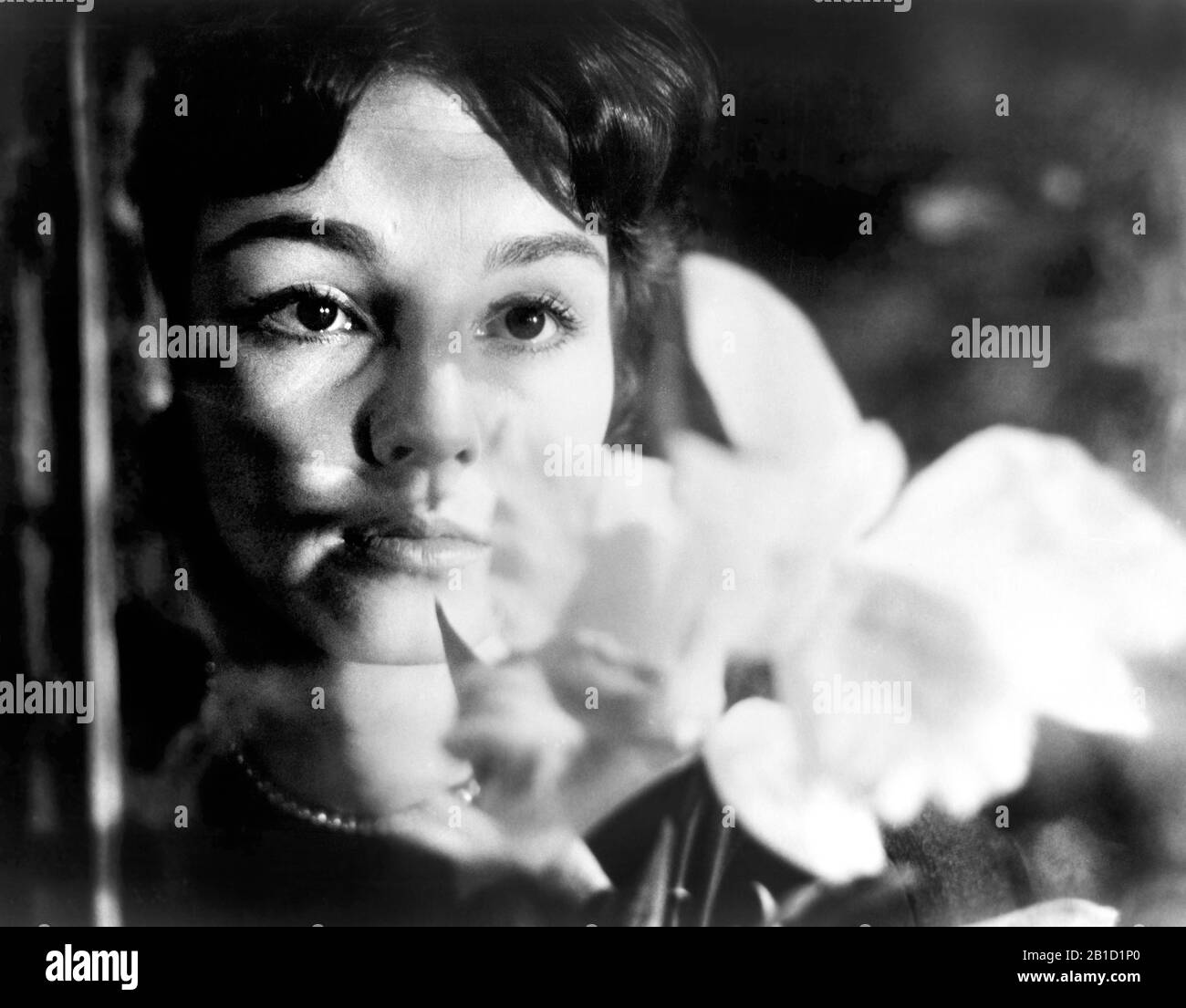 Ingrid Andree, Publicité Toujours du film, 'The Rest is Silence', allemand: 'Der Rest ist Schweigen', 1959 Banque D'Images