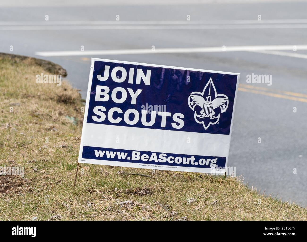 20 février 2020, Berks County, Pennsylvanie: Les garçons Scouts d'Amérique recrutent signer le long de la route. Banque D'Images