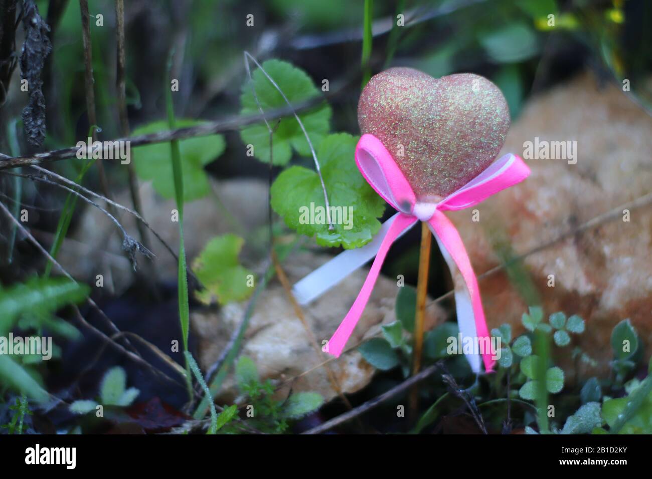 Belle Photo De Nature Avec Un Coeur A Tomber Dans L Amour Photo Stock Alamy Belle Photo De Nature Avec Un Coeur A Tomber Dans L Amour Photo Stock Alamy