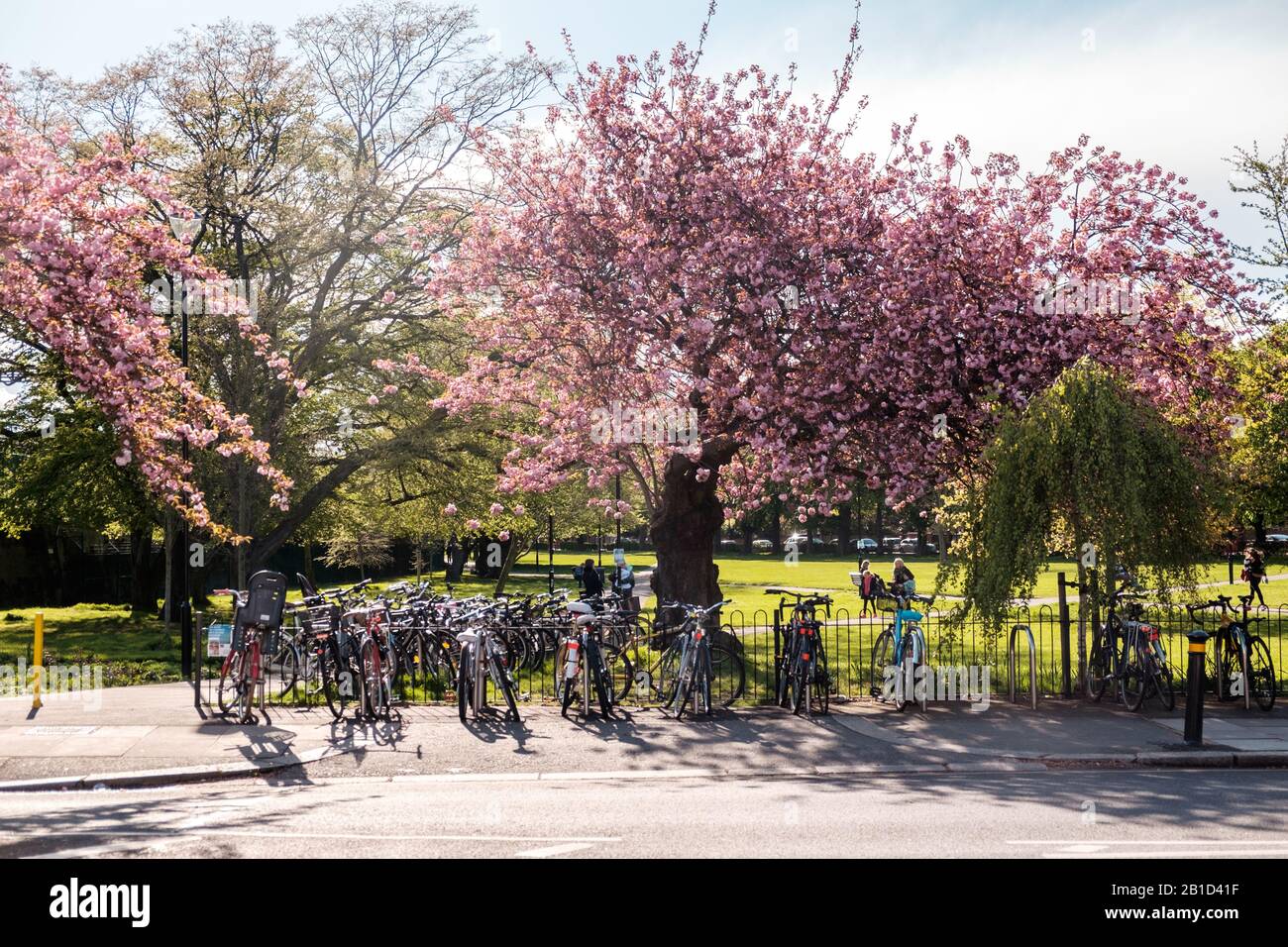 Vélos garés à l'extérieur du parc Acton Green à Turnham Green Corner, Londres, Angleterre Banque D'Images