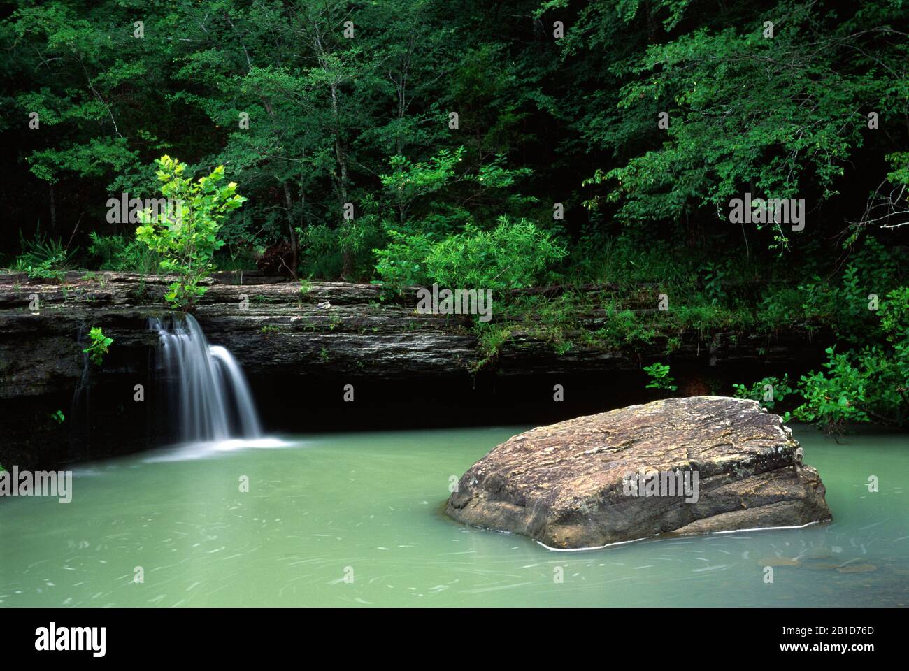 Haw Creek Falls, Ozark National Forest, Illinois Banque D'Images