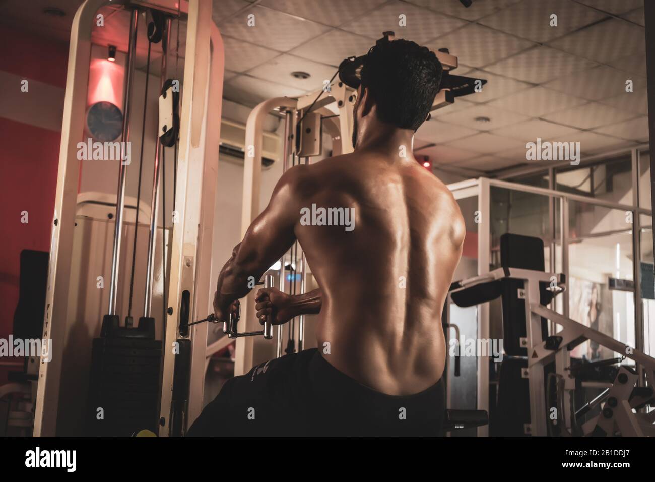 L'athlète fait une rangée de poulies basses assis dans la salle de gym vue arrière rapprochée Banque D'Images