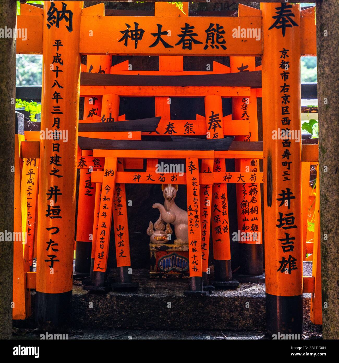 Un autel en pierre avec statue de renard entouré de petites portes torii à Fushimi Inari, le sanctuaire Shinto le plus célèbre au Japon, Kyoto Banque D'Images