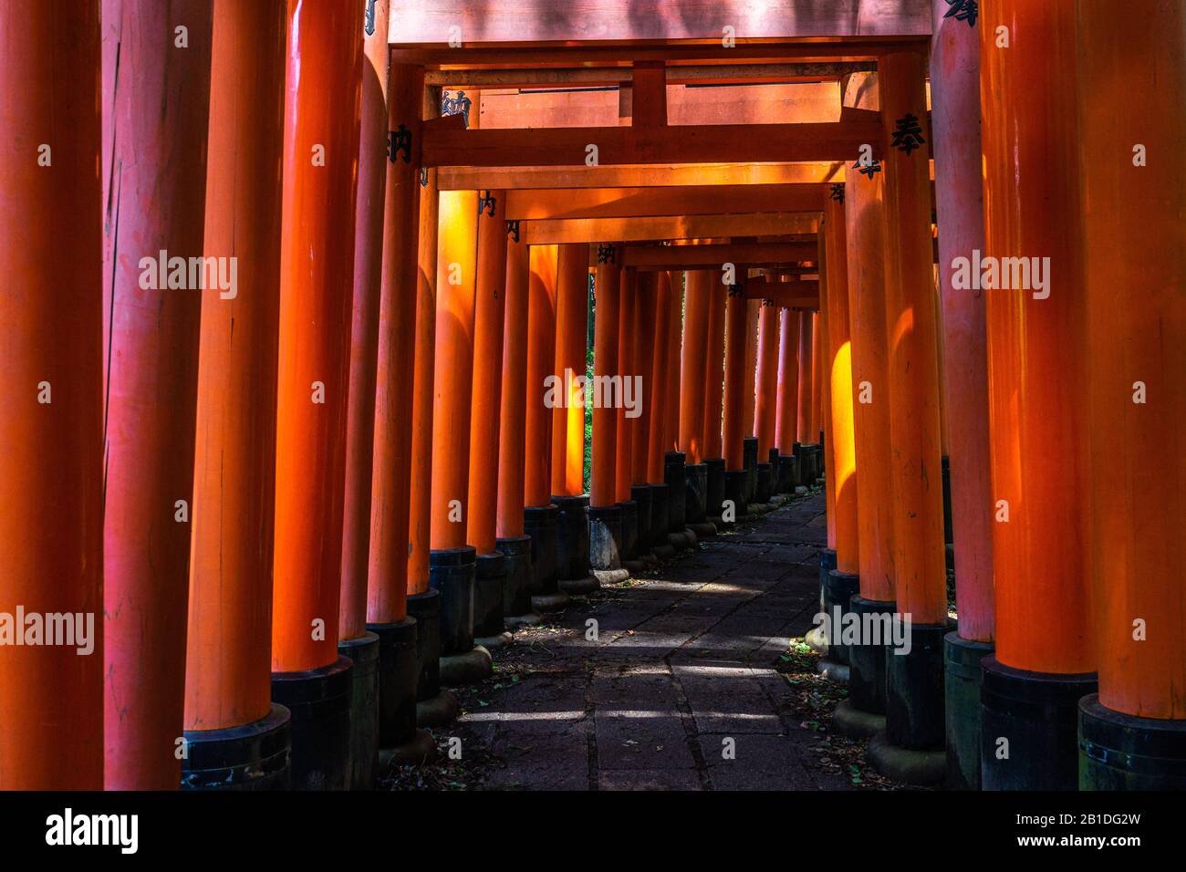 Le sentier panoramique du sanctuaire de Fushimi Inari avec des milliers de portes vermilion torii, Kyoto, Japon Banque D'Images