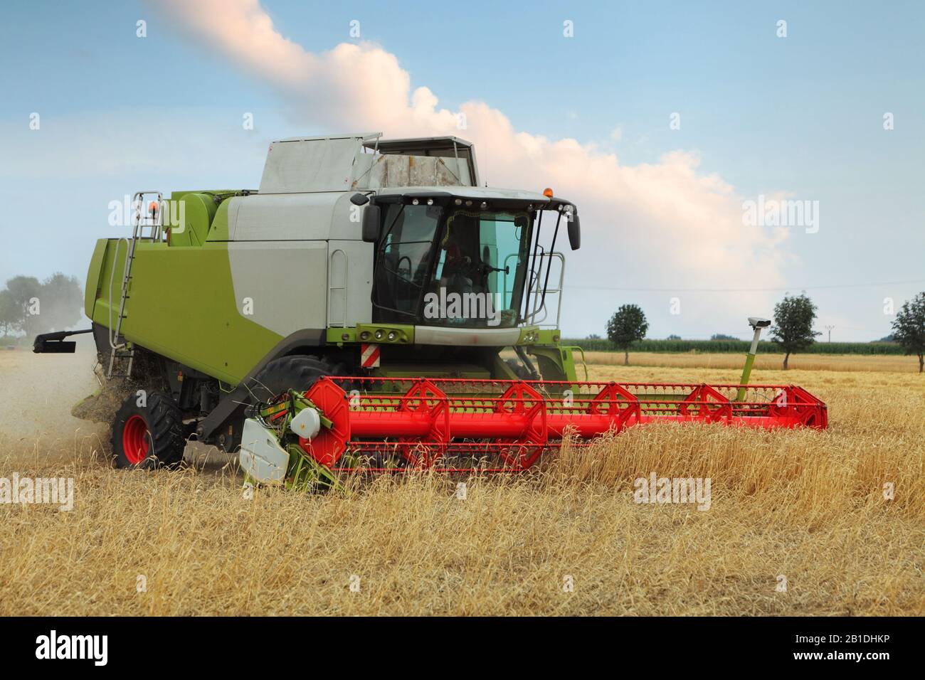 Champ de blé avec harvester Banque D'Images
