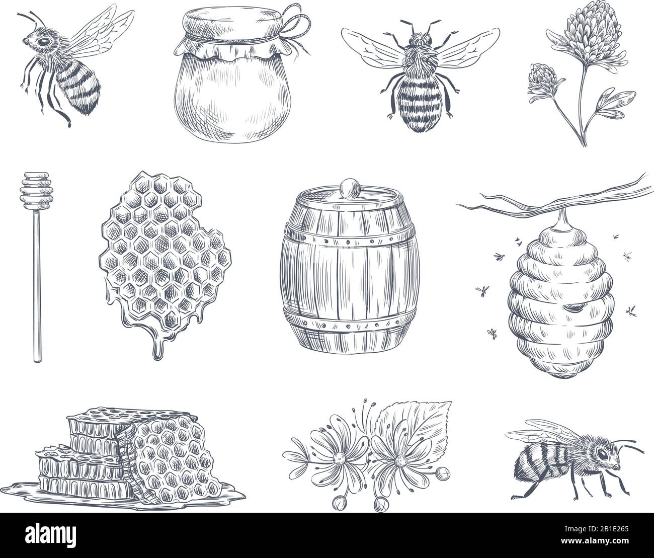 Gravure d'abeilles. Abeilles miel, ferme apicole et nid d'abeilles vintage dessiné à la main illustration vectorielle Illustration de Vecteur