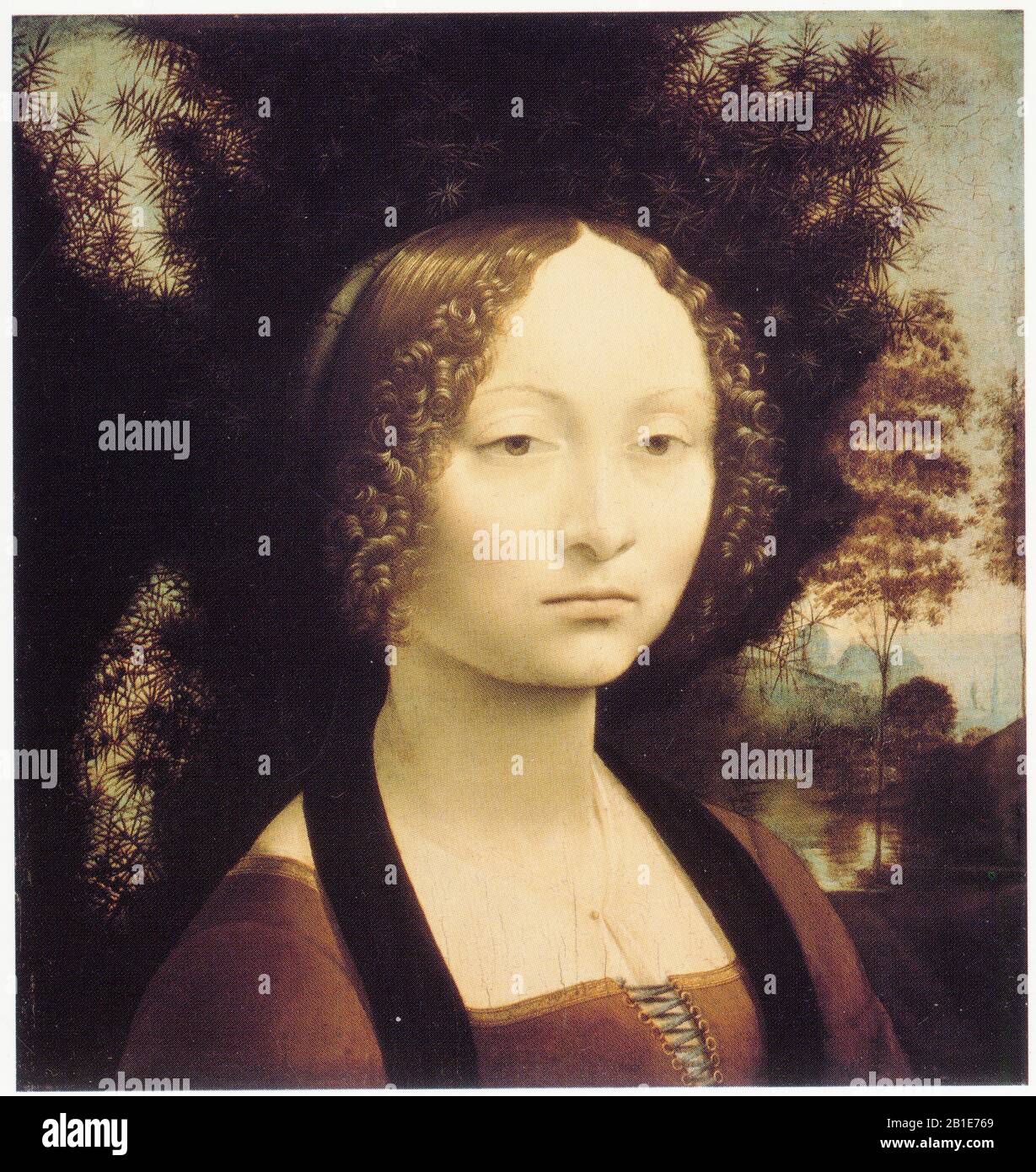 Léonard de Vinci. Portrait de Ginevra Benci. 1474. Banque D'Images