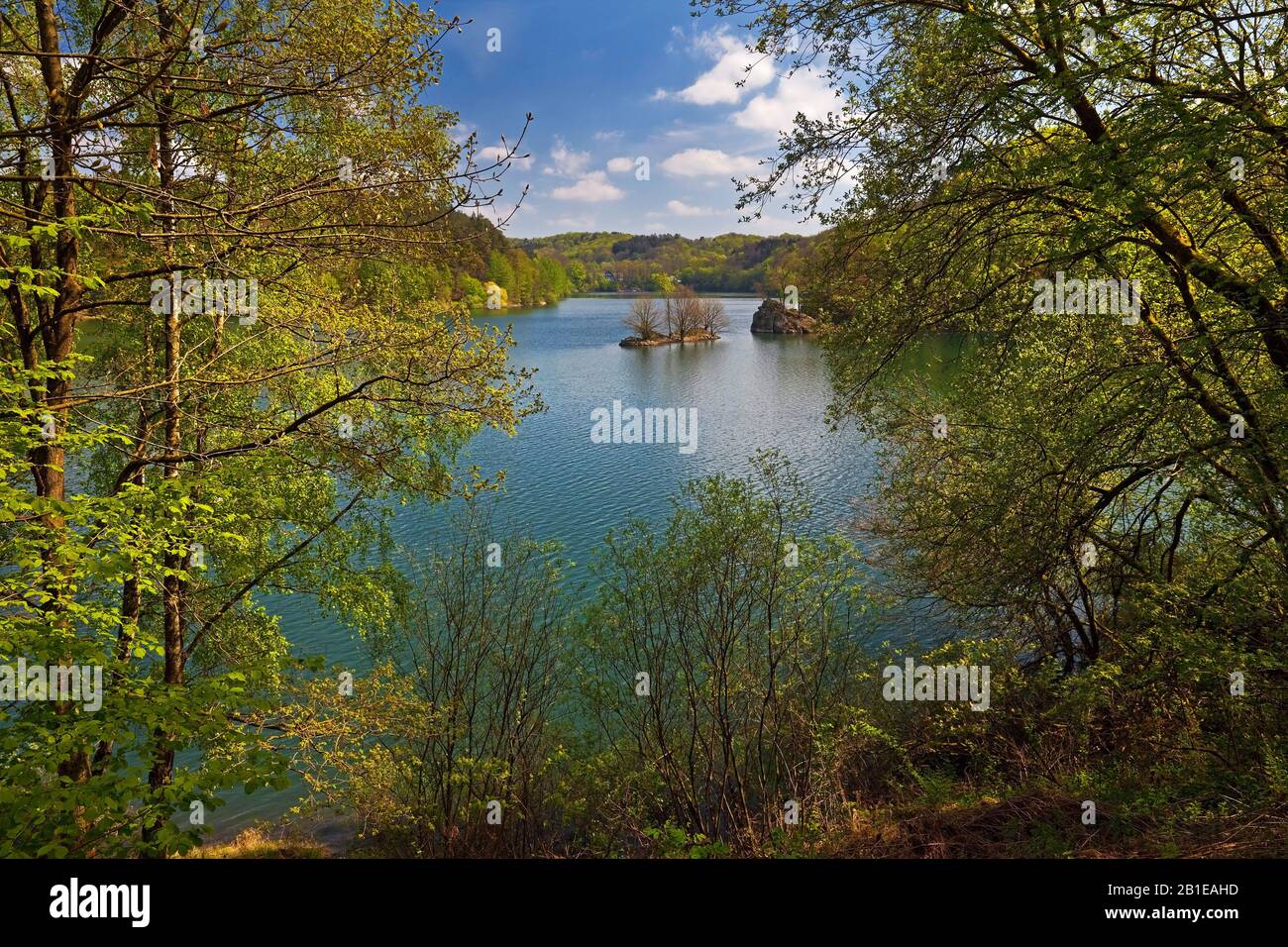 Lac de stockage Wuppertalsperre au printemps, Allemagne, Rhénanie-du-Nord-Westphalie, Bergisches Land, Remscheid Banque D'Images