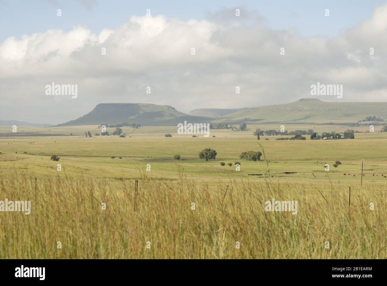 Paysage près de Wakkerstroom, Afrique du Sud, Wakkerstroom Banque D'Images