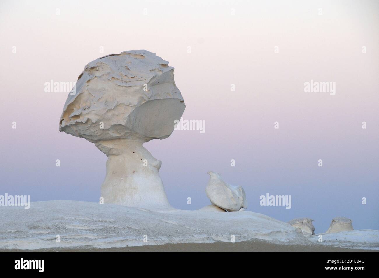 Formations rocheuses du désert blanc, Egypte, Parc National du Désert blanc Banque D'Images