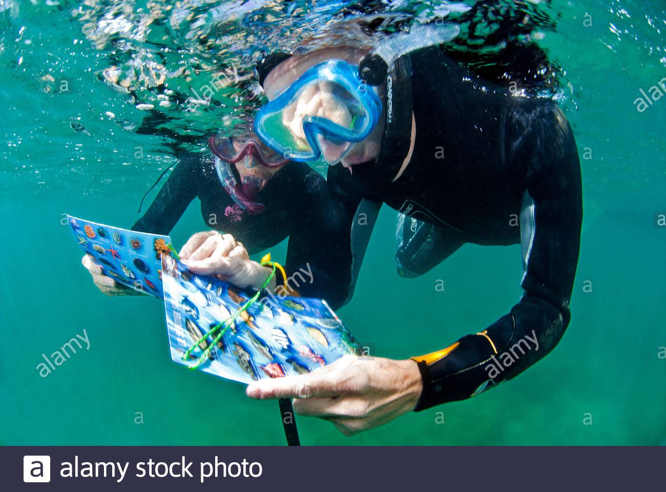 Cap Of Agde Banque D Image Et Photos Alamy