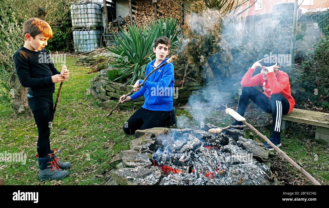 Les marshmallows sont roastet à une cheminée dans un jardin par des garçons, Allemagne Banque D'Images