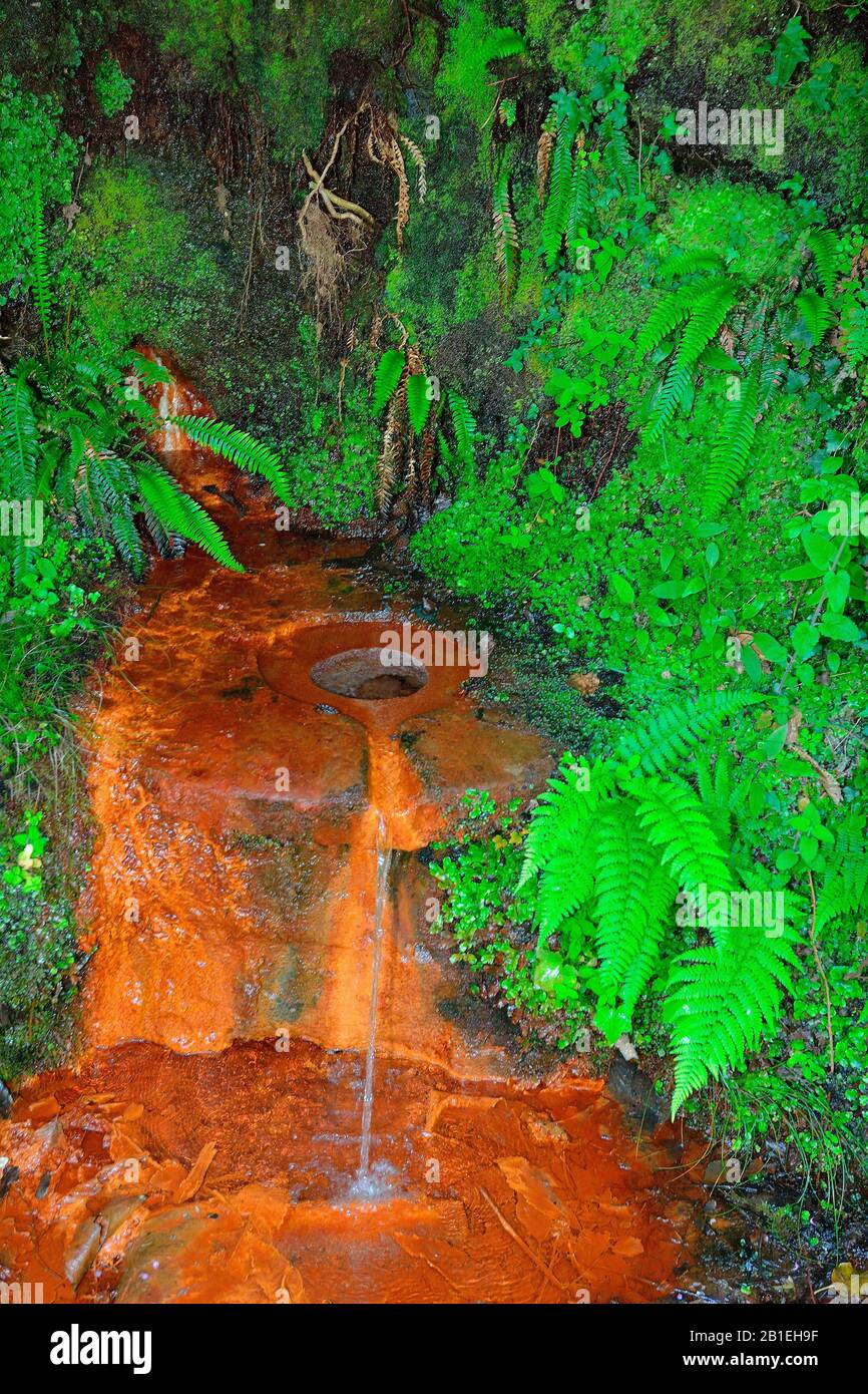 Ferruginous water Banque de photographies et d’images à haute — free download