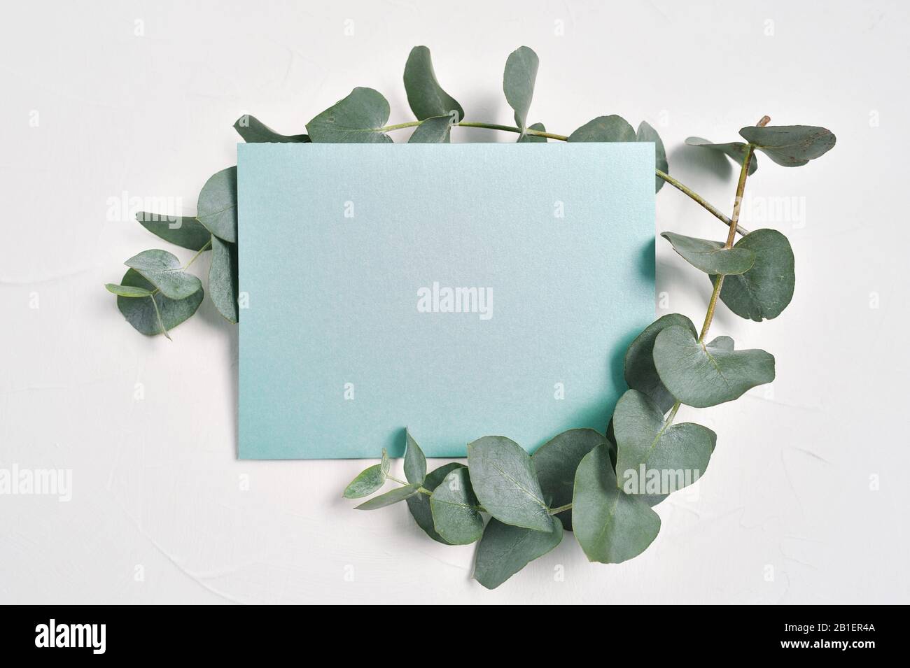 Maquette de feuilles d'eucalyptus et feuille de papier turqueuse avec place pour le texte sur fond blanc. Couronne en branche d'eucalyptus. Plat, vue du dessus Banque D'Images