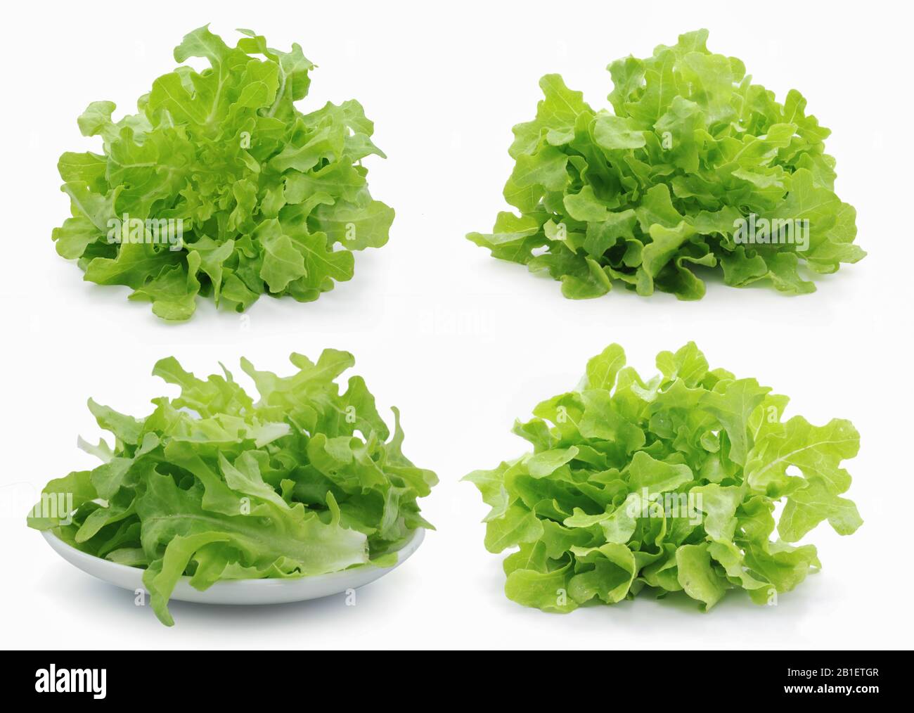 Salade de légumes frais isolée sur fond blanc Banque D'Images