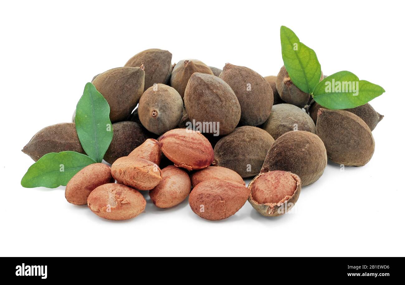 Fruits tamarin en velours (Dialium cochinchinense) isolés sur fond blanc Banque D'Images