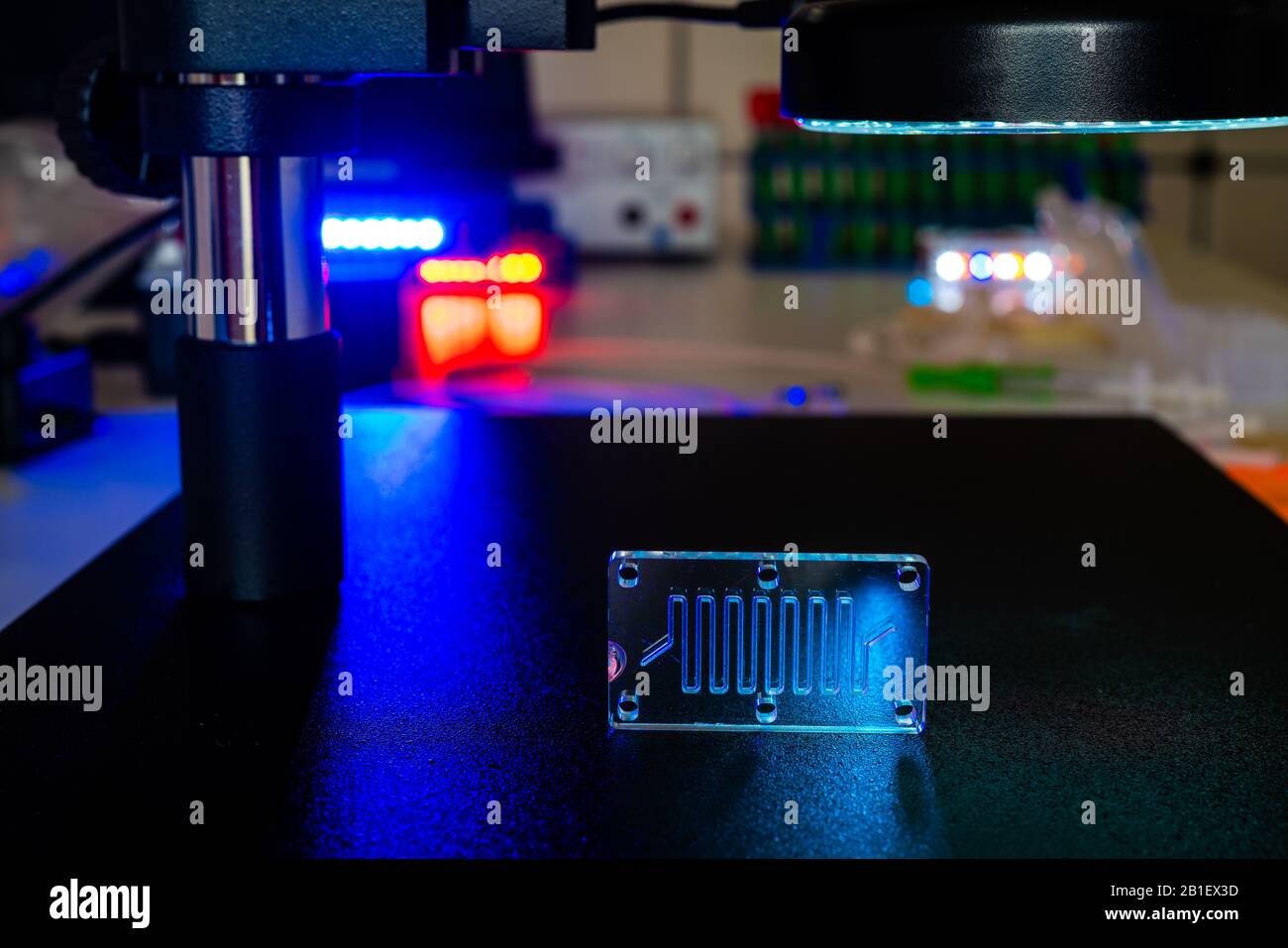 Dispositif microfluidique Instrument qui utilise des micro-quantités de fluide sur une puce de faire certaines analyses de laboratoire. Banque D'Images