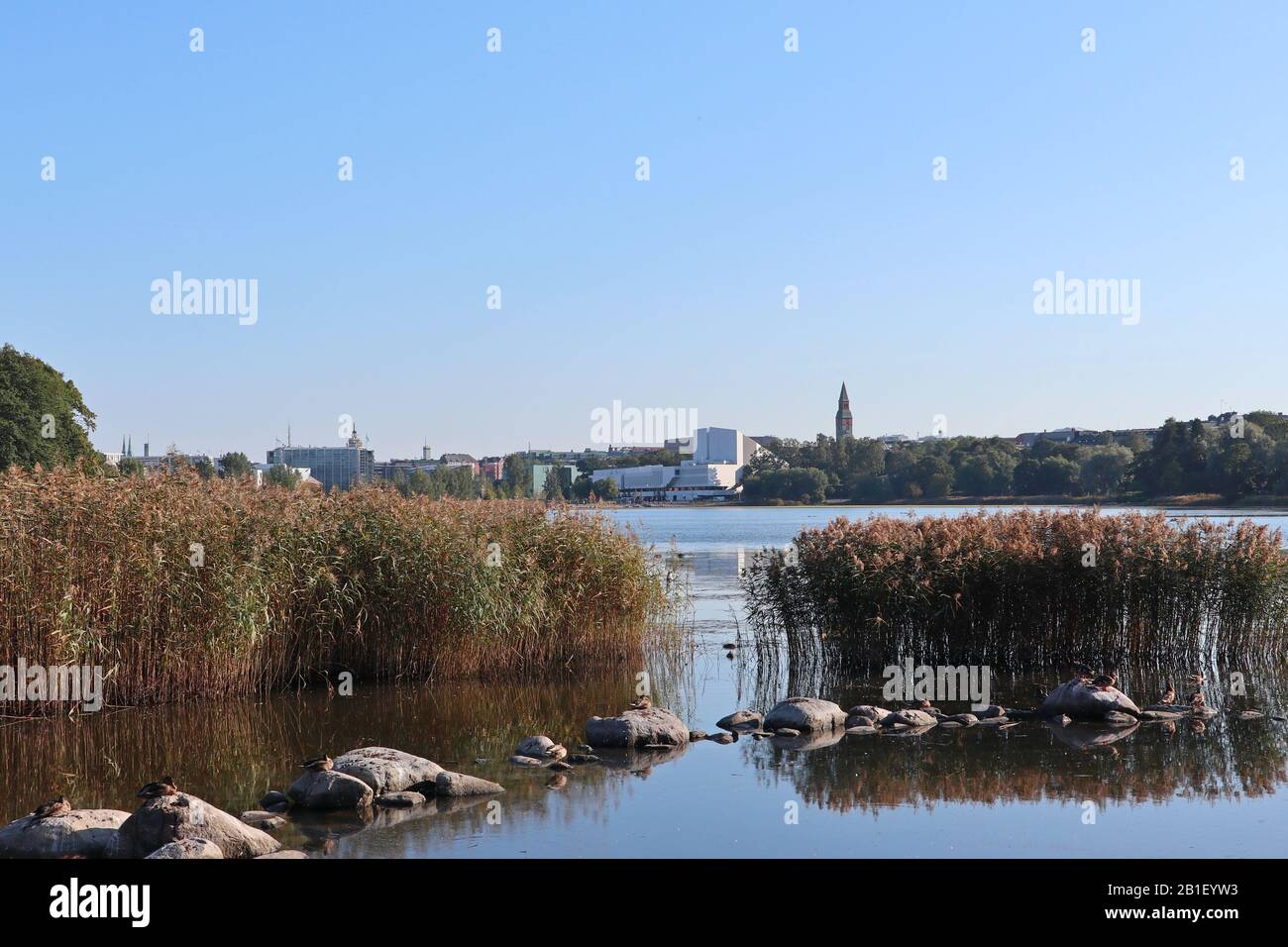 Parc avec lac roseau pierres d'herbe oiseaux composition au centre de la ville européenne Finlande Helsinki. Belle nature aquatique dans le paysage urbain Banque D'Images