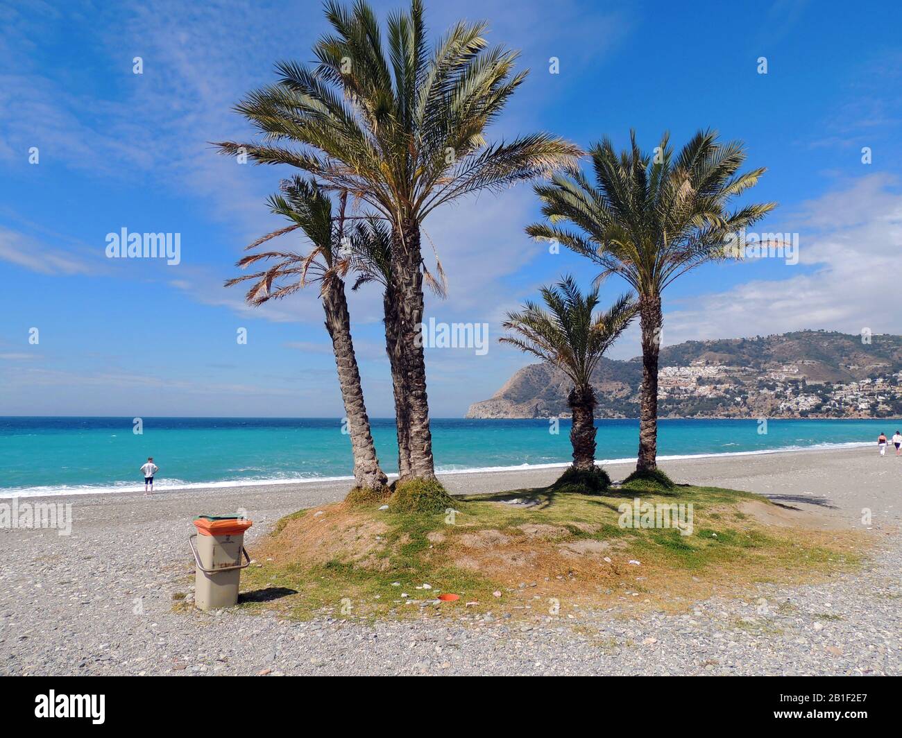 Gardez LE MED BIEN RANGÉ - la Heradurra, Espagne 2017 - un groupe de palmiers sur la plage attire les pickers, de sorte que l'autorité locale a fourni à l'endroit populaire avec son propre petit-pain pour le dépôt de la litière Banque D'Images