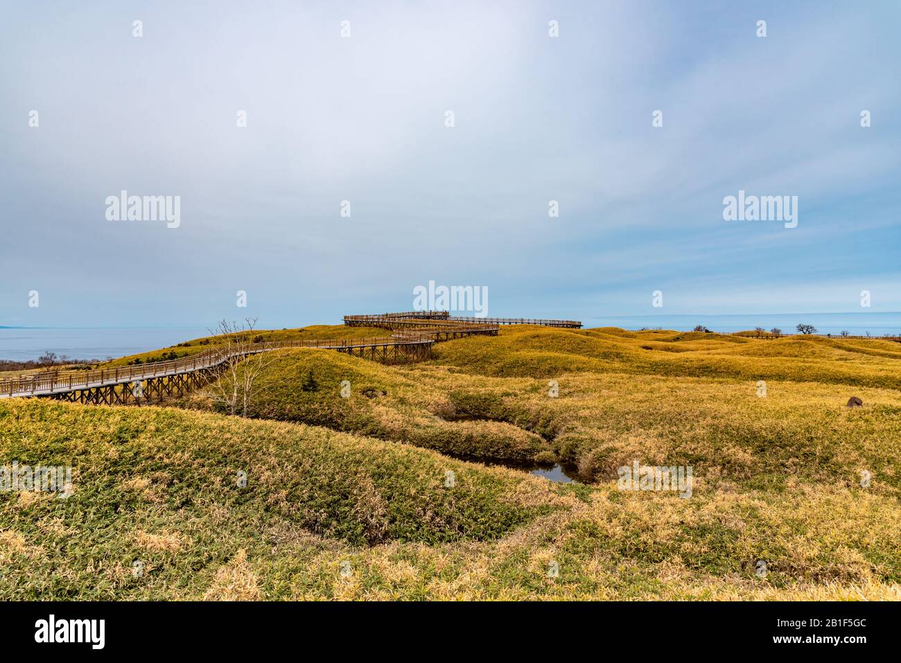 Shiretoko Goko Five Lakes Dans Le Parc National De Shiretoko. Les touristes peuvent marcher sur la promenade en bois surélevée. Shari, Hokkaido, Japon Banque D'Images