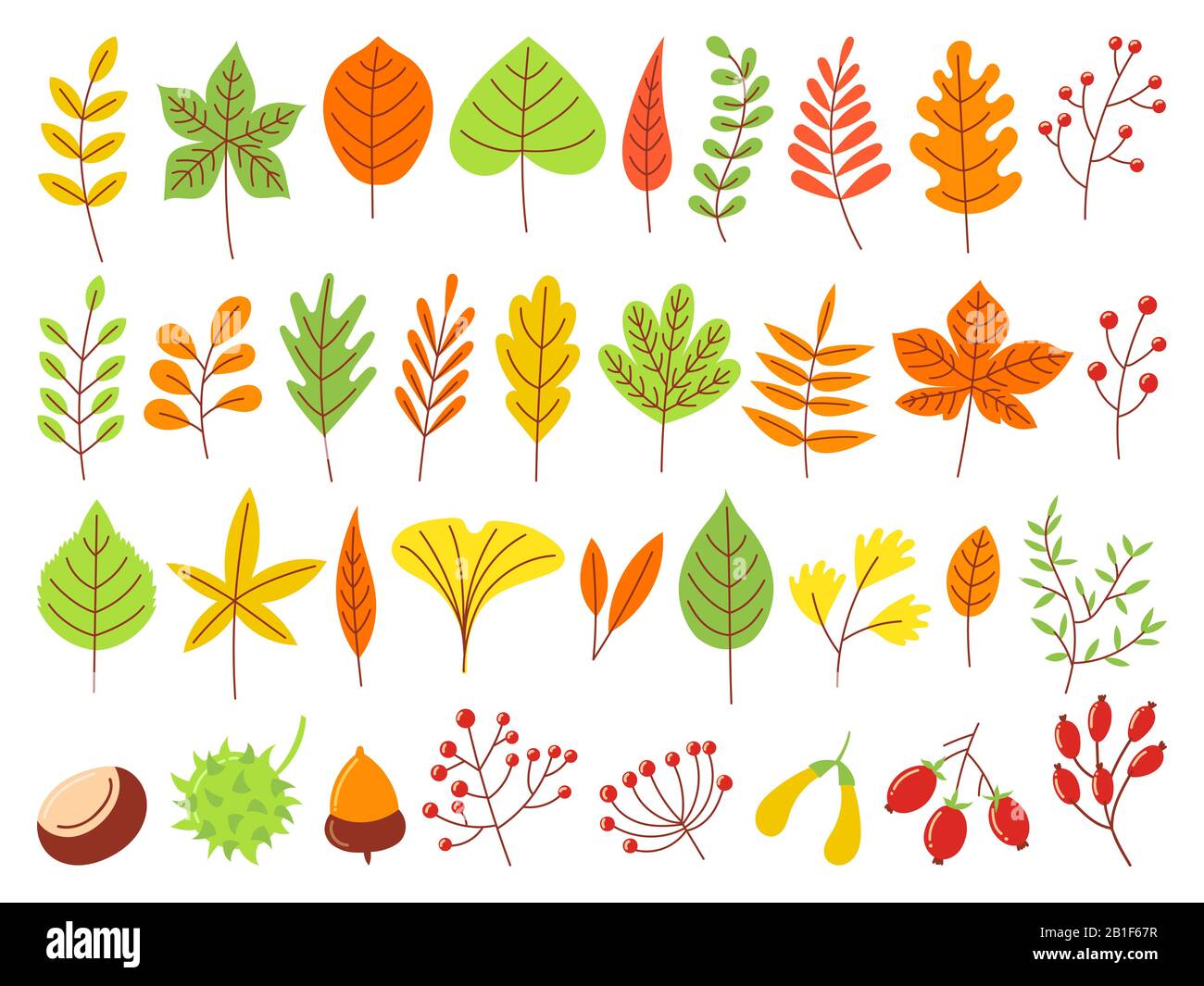 Feuilles d'automne colorées. Feuille jaune automnale, feuilles orange de nature forestière et feuilles rouges de septembre ensemble vectoriel plat Illustration de Vecteur