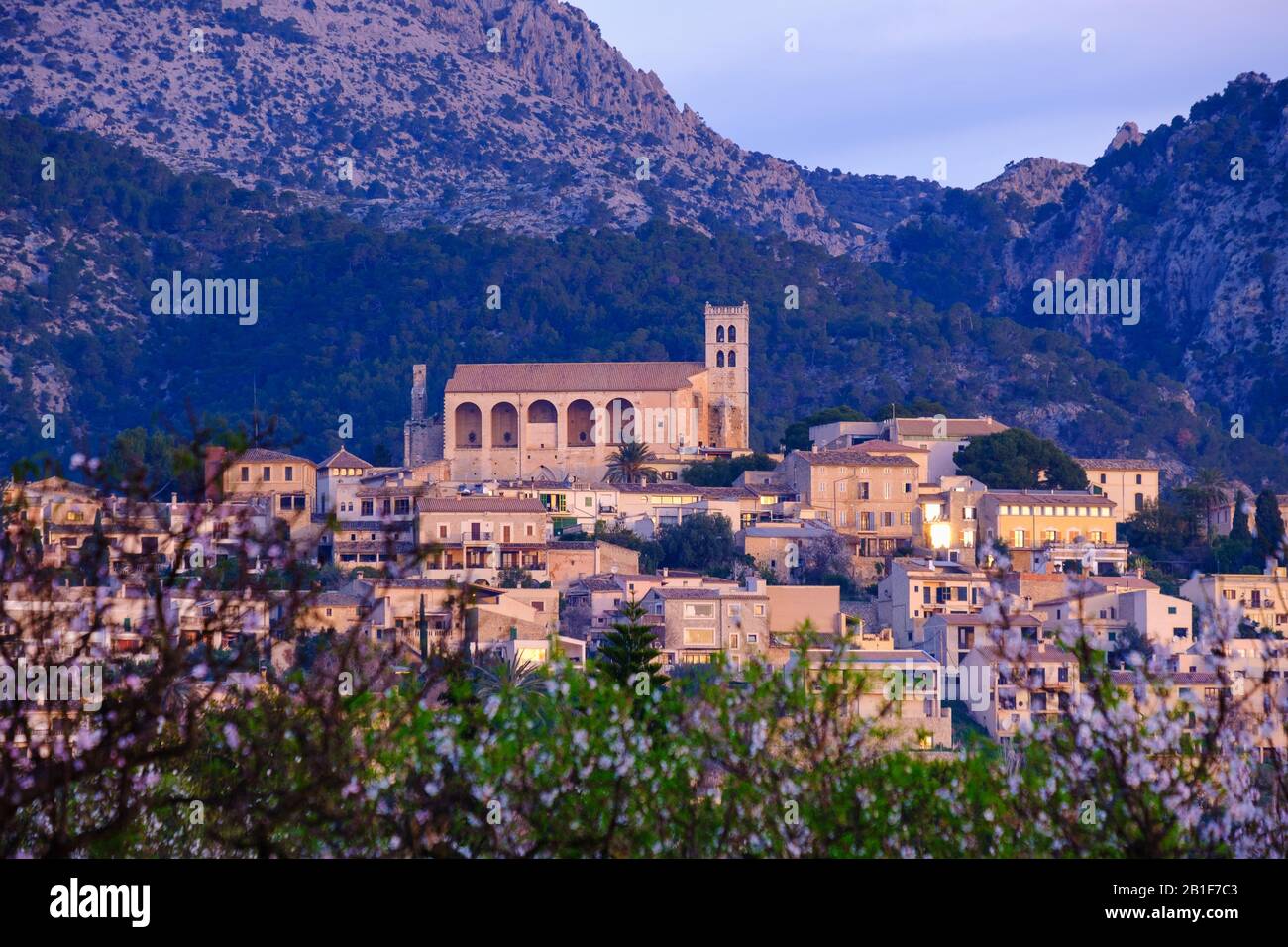 Selva dans la lumière du matin, région de Raiguer, Serra de Tramuntana, Majorque, Iles Baléares, Espagne Banque D'Images