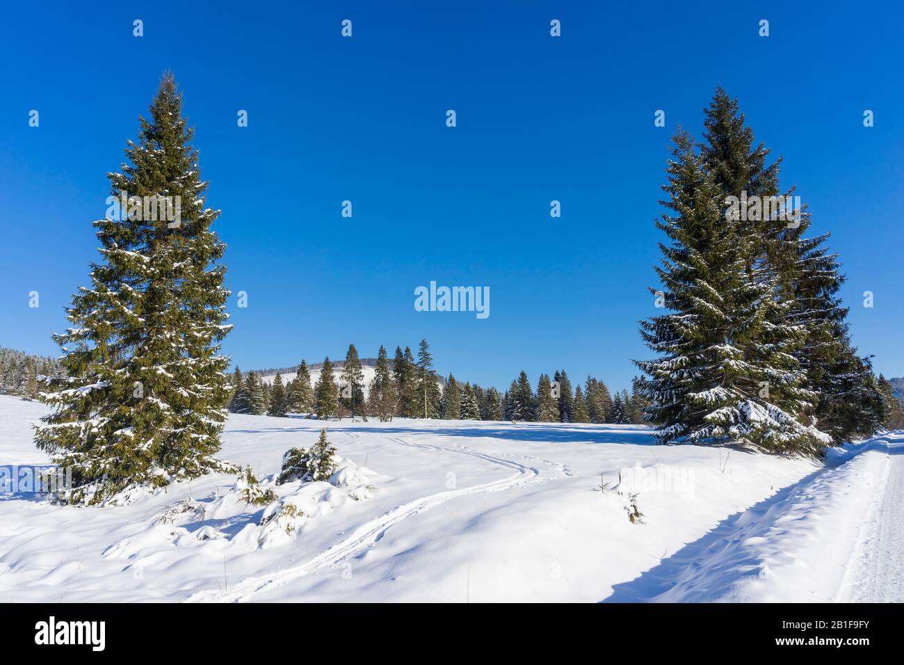 Paysage d'hiver dans les montagnes. Autour D'Oravice. Tatry. Slovaquie. Banque D'Images