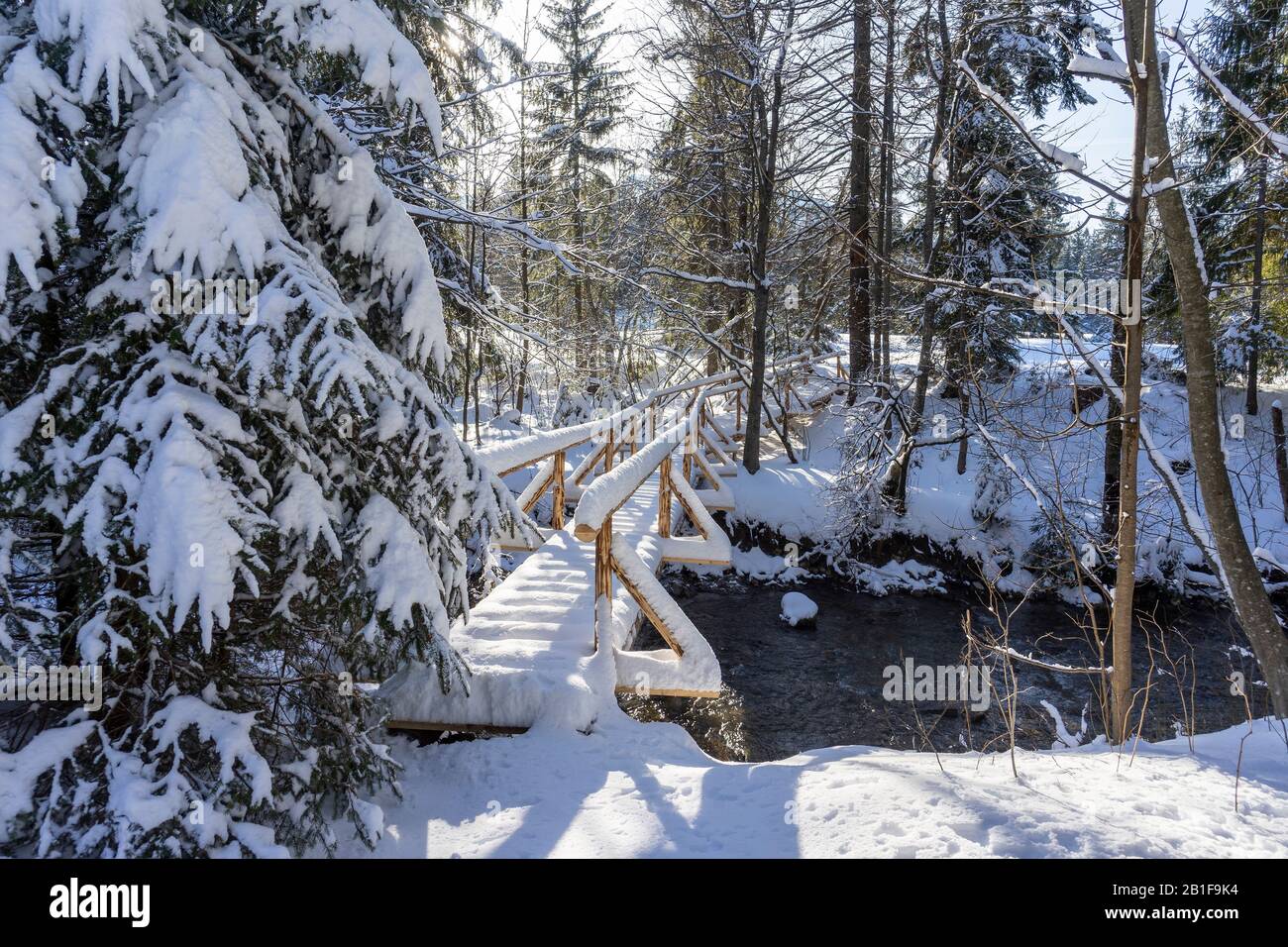 Pont enneigé dans une forêt de montagne. Autour D'Oravice. Slovaquie. Banque D'Images