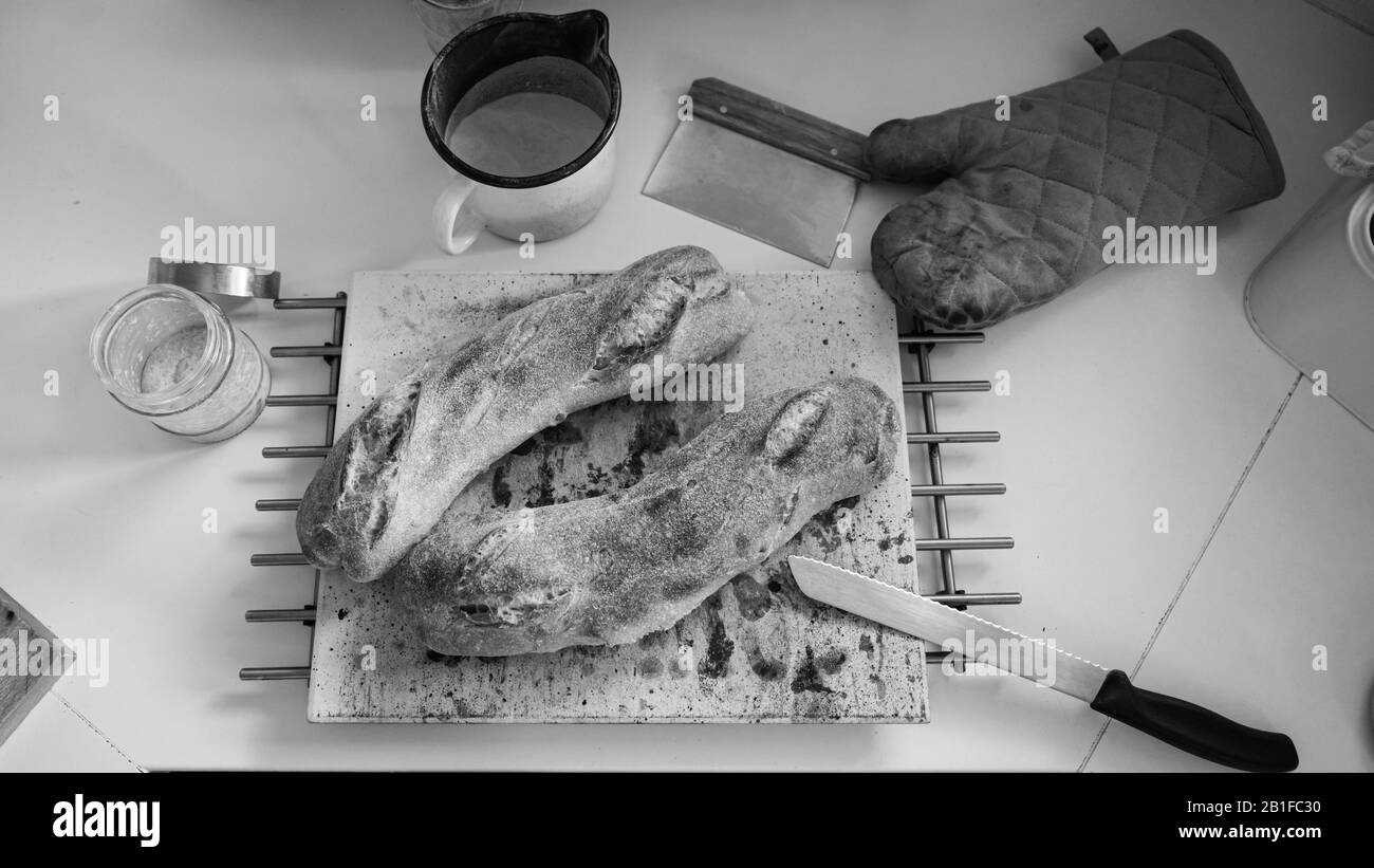 Image monochrome des pains au levain fraîchement cuits refroidissant sur le comptoir de cuisine avec des moufles, des couteaux et de la farine autour. Banque D'Images