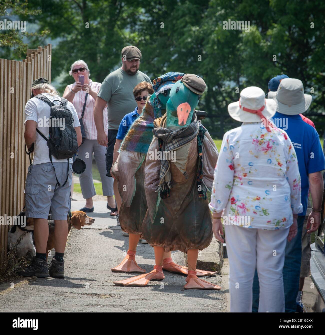 Deux personnes vêtues de canards avec des visiteurs célébrant le dixième anniversaire de l'Aqueduct de Pontcysyllatte devenant un site du patrimoine mondial Banque D'Images