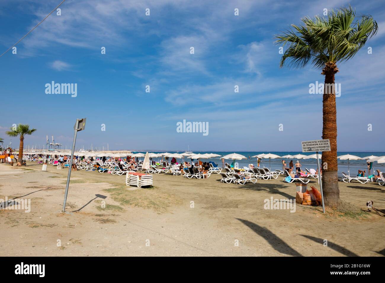 Touristes sur la plage à Finikoudes, Larnaca, Chypre. Banque D'Images