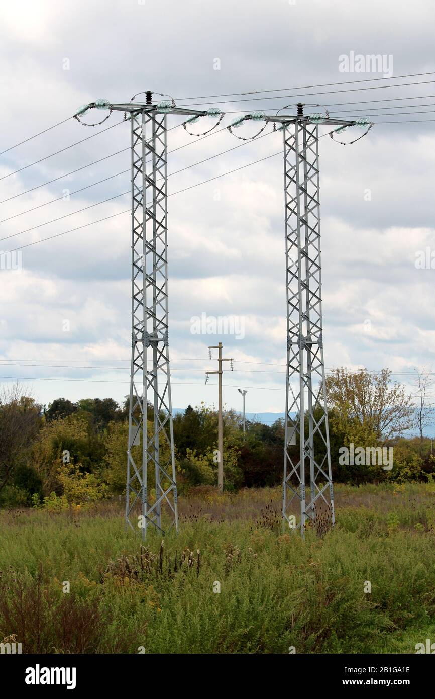 Deux grands poteaux électriques en métal étroit avec plusieurs fils électriques reliés à des isolateurs en verre entourés d'herbe et d'arbres non coupés Banque D'Images