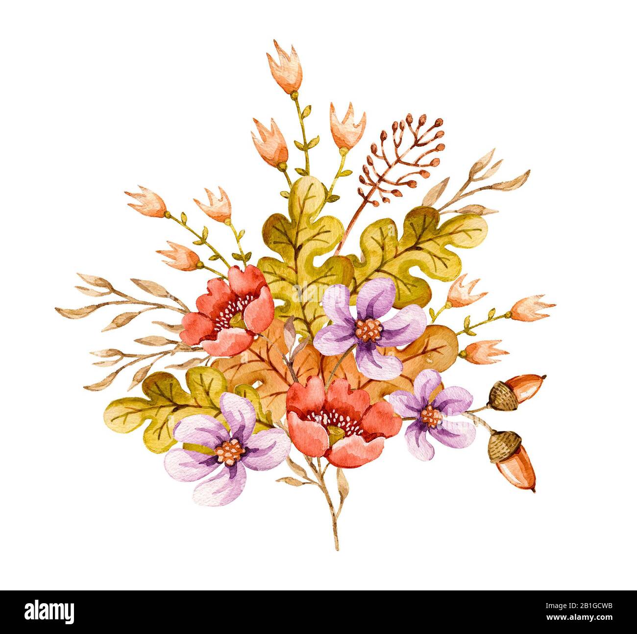 Bouquet floral aquarelle avec fleurs, baies, herbe, feuilles de chêne, glands. Délicat fond floral peint à la main Banque D'Images