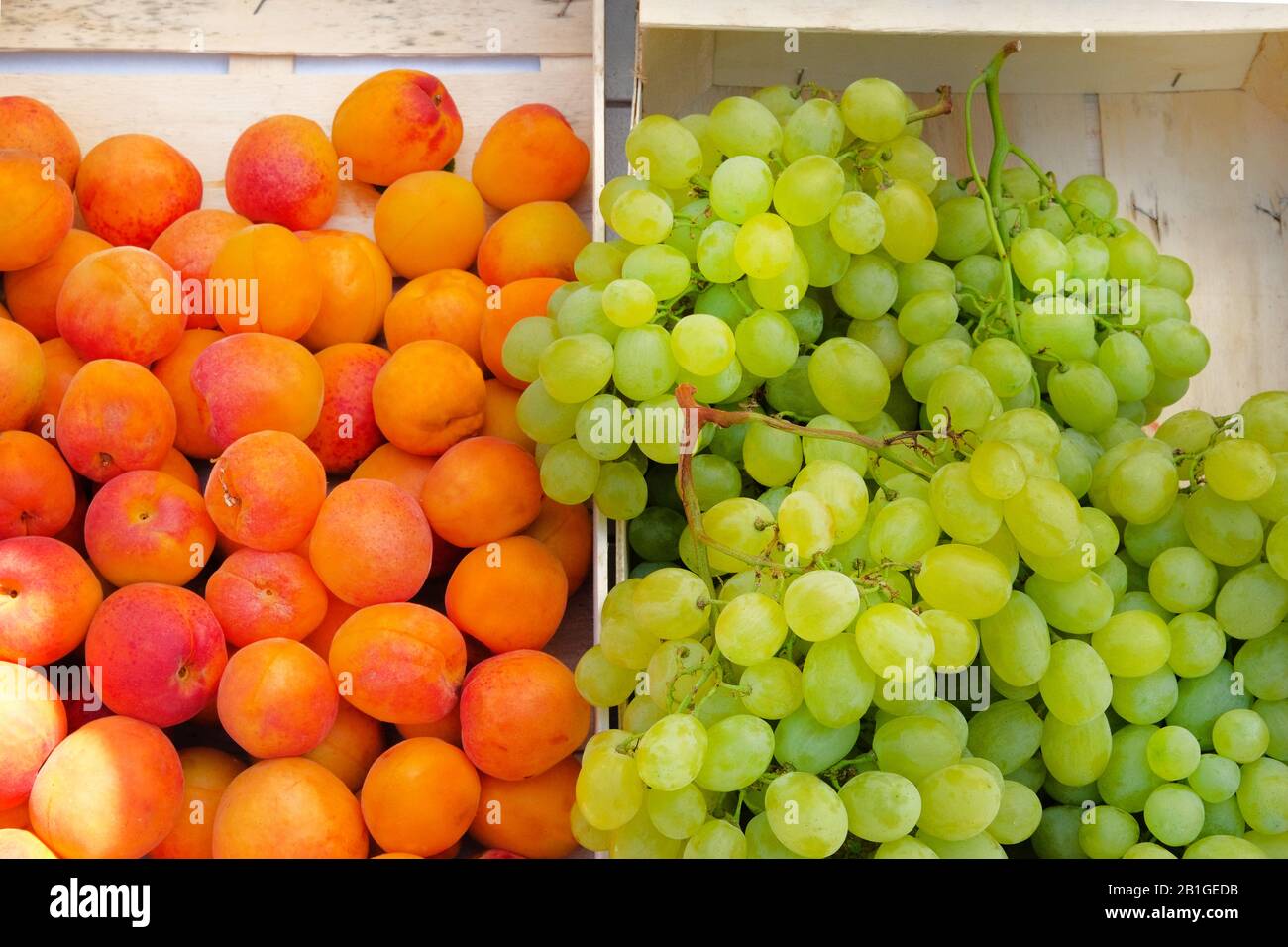Boîtes à abricots et raisins blancs du marché des agriculteurs méditerranéens. Marché d'été de la nourriture biologique locale saine. Banque D'Images