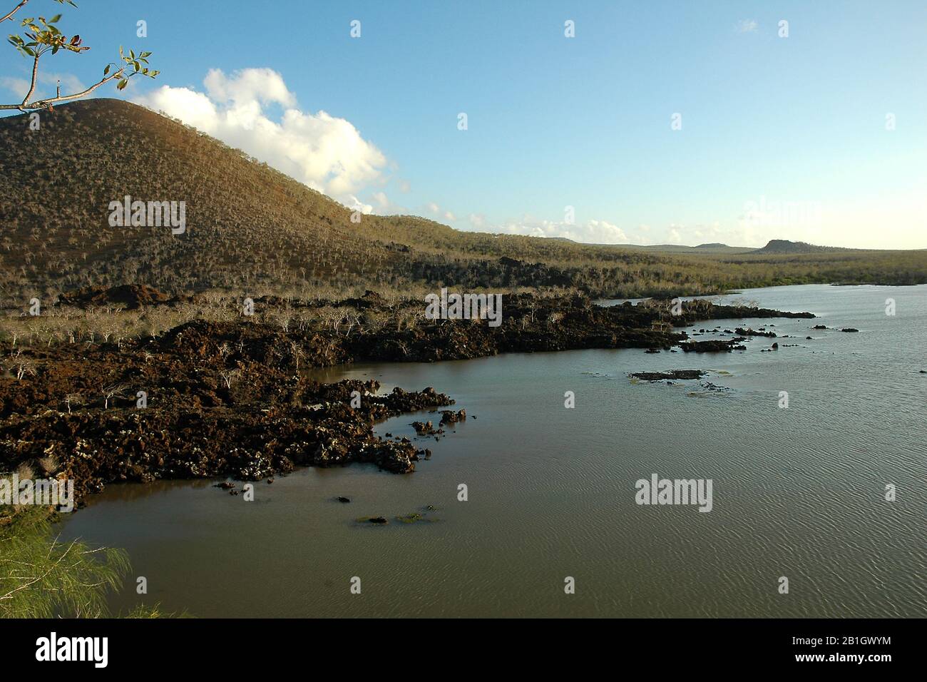 Paysage volcanique, Équateur, îles Galapagos Banque D'Images