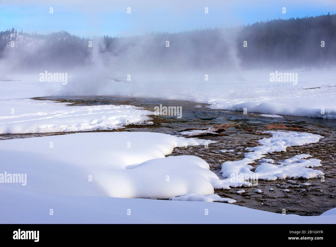 Lower Geyser Basin Au Parc National Ellostone, États-Unis, Wyoming, Parc National De Yellowstone Banque D'Images