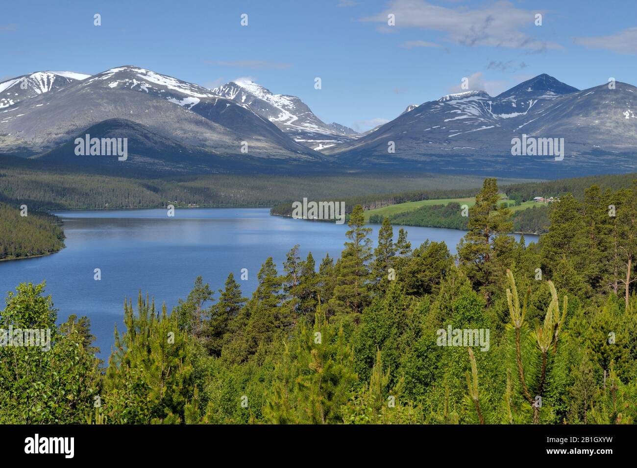 Paysage dans le parc national de Rondane, Norvège, parc national de Rondane, Folldal Banque D'Images