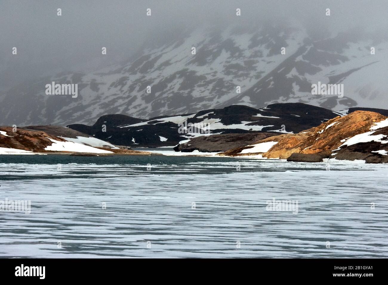 Champs de neige sur la côte, Norvège, Svalbard Banque D'Images