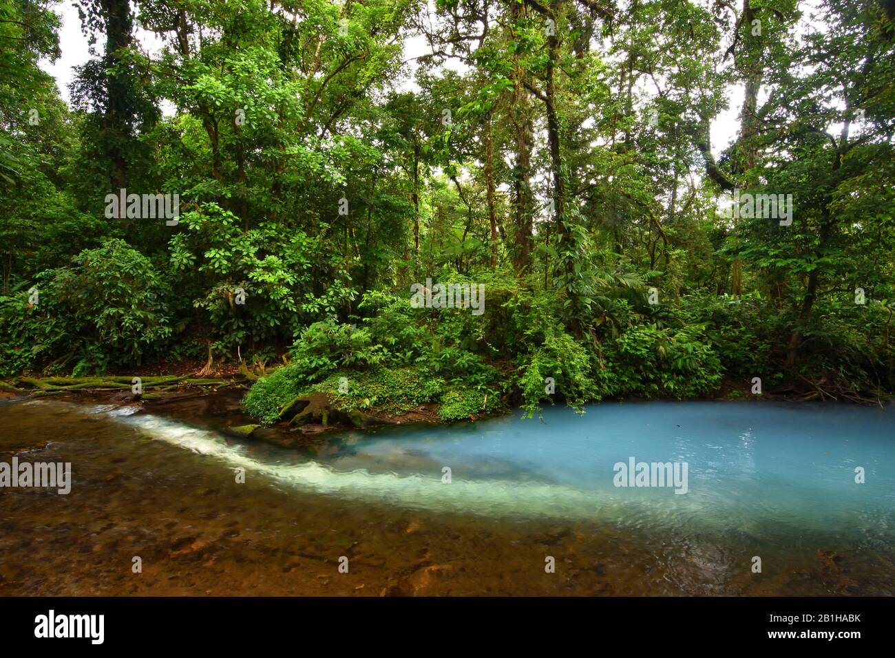 Une cascade bleue dans le parc national du volcan Tenorio, Costa Rica Banque D'Images