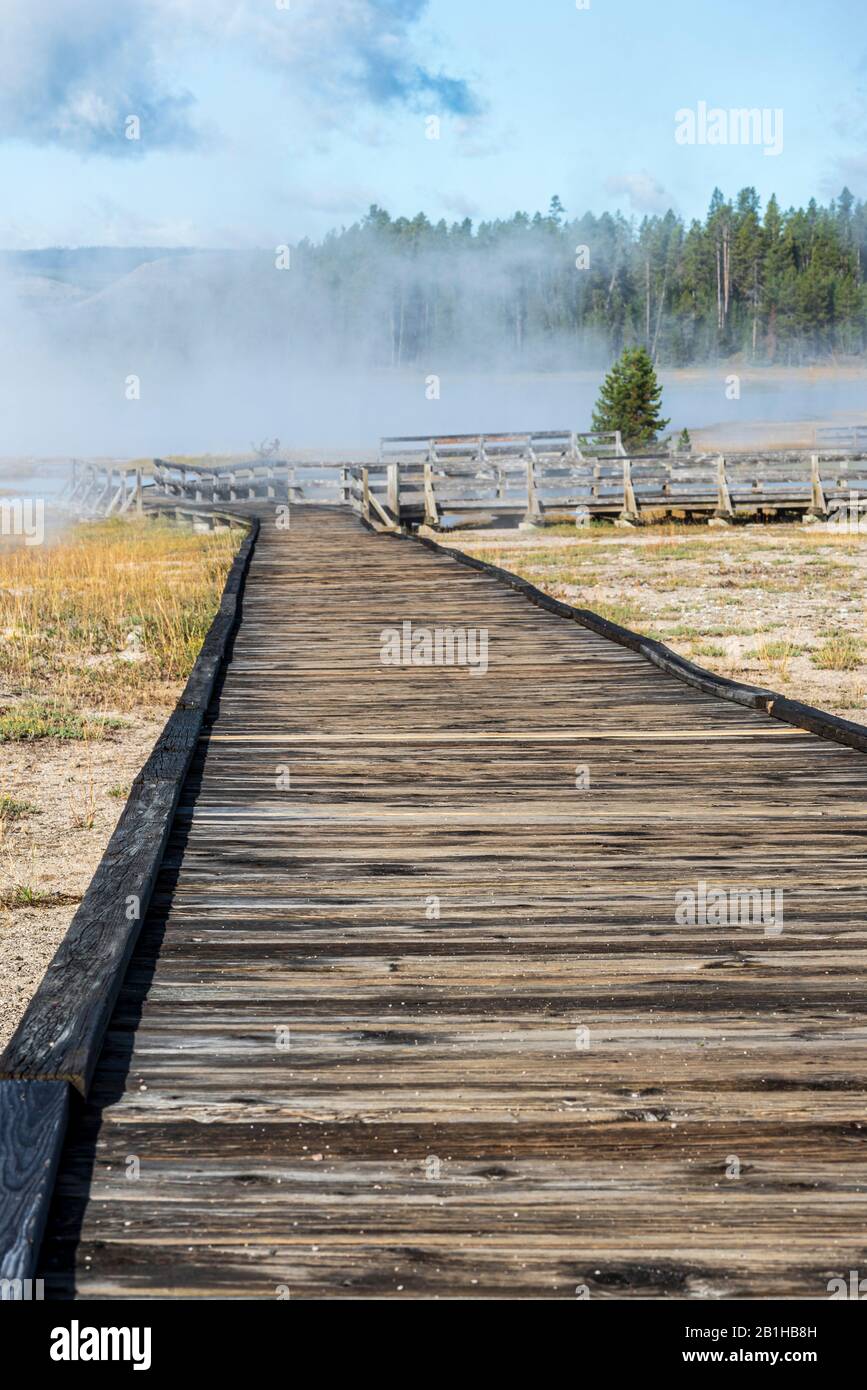 Passerelle en bois menant à des sources chaudes brumeuses avec forêt au-delà. Banque D'Images