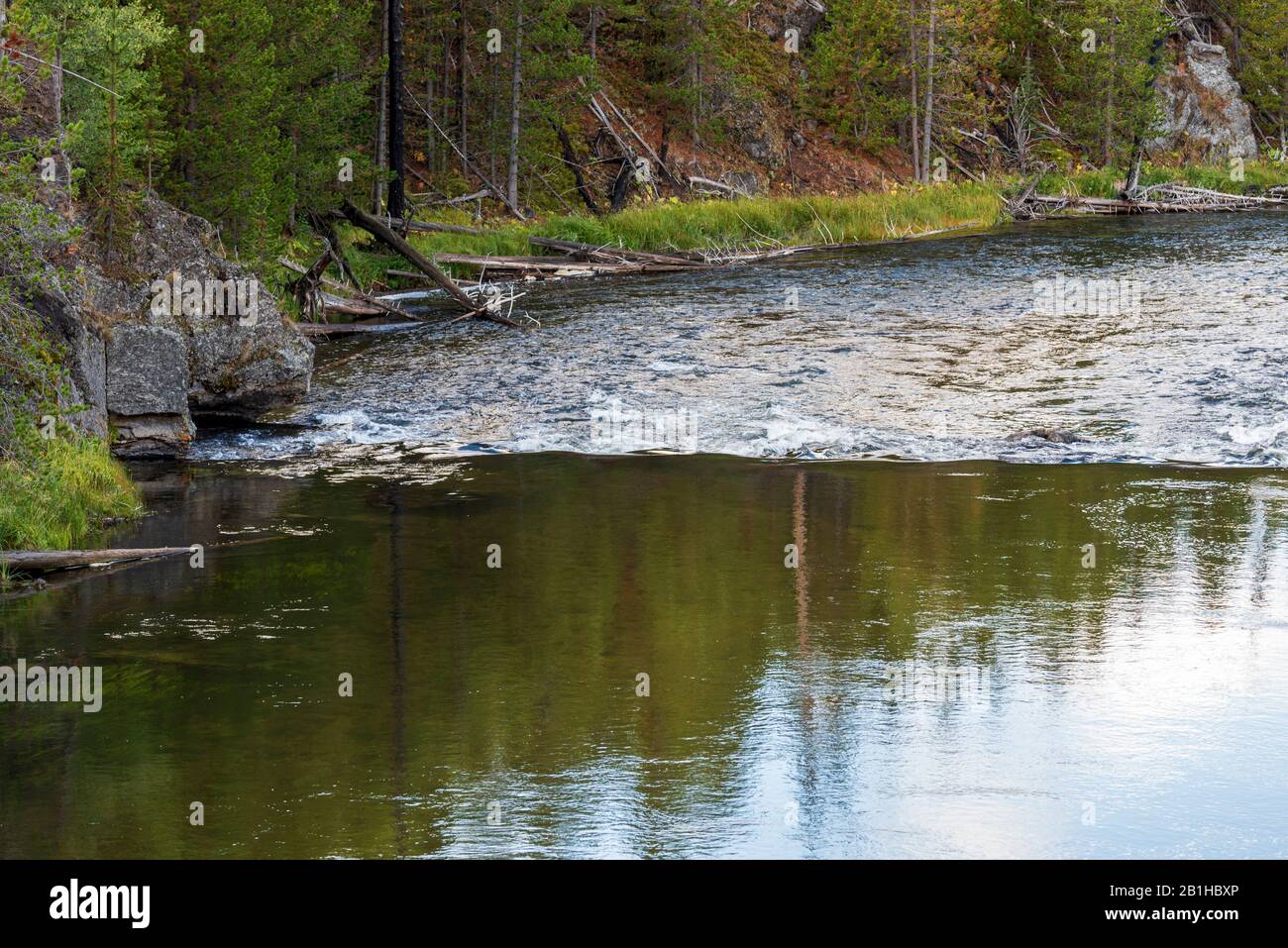 Rivière qui coule dans la forêt, eau douce se transformant en eaux rugueuses. Banque D'Images