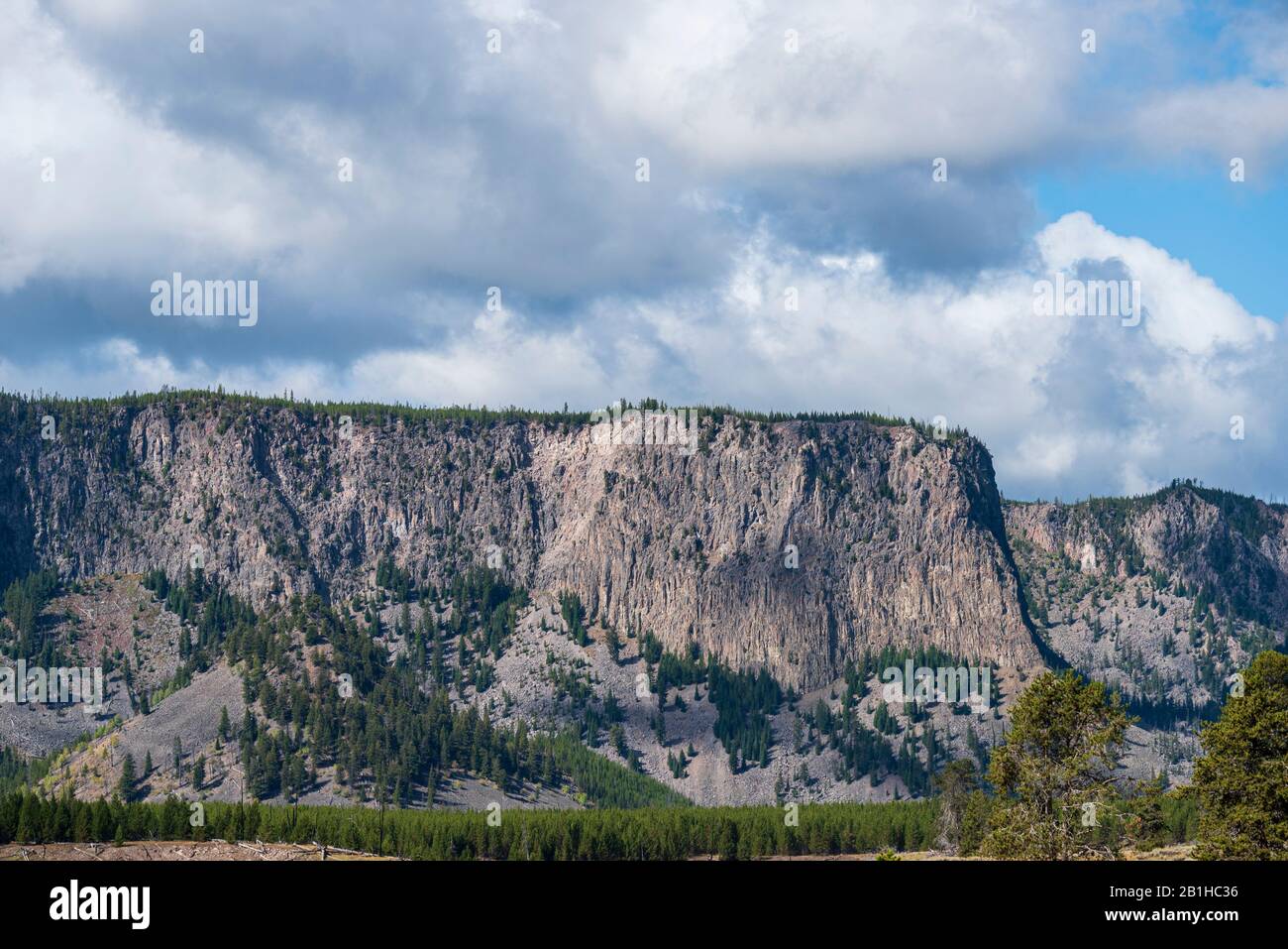 Campagne spacieuse avec forêt verte et montagnes abruptes face à plateau. Air frais de campagne avec de grands nuages blancs dans le ciel bleu. Banque D'Images