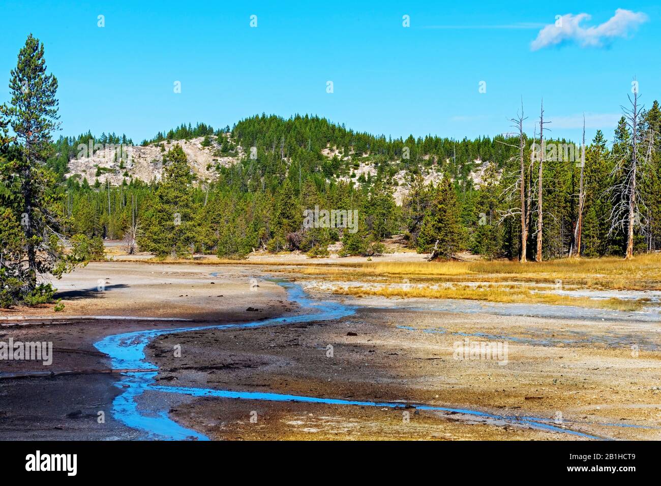 Ruisseaux qui descendent de la colline boisée par le défrichement dans la forêt. Ciel bleu. Banque D'Images
