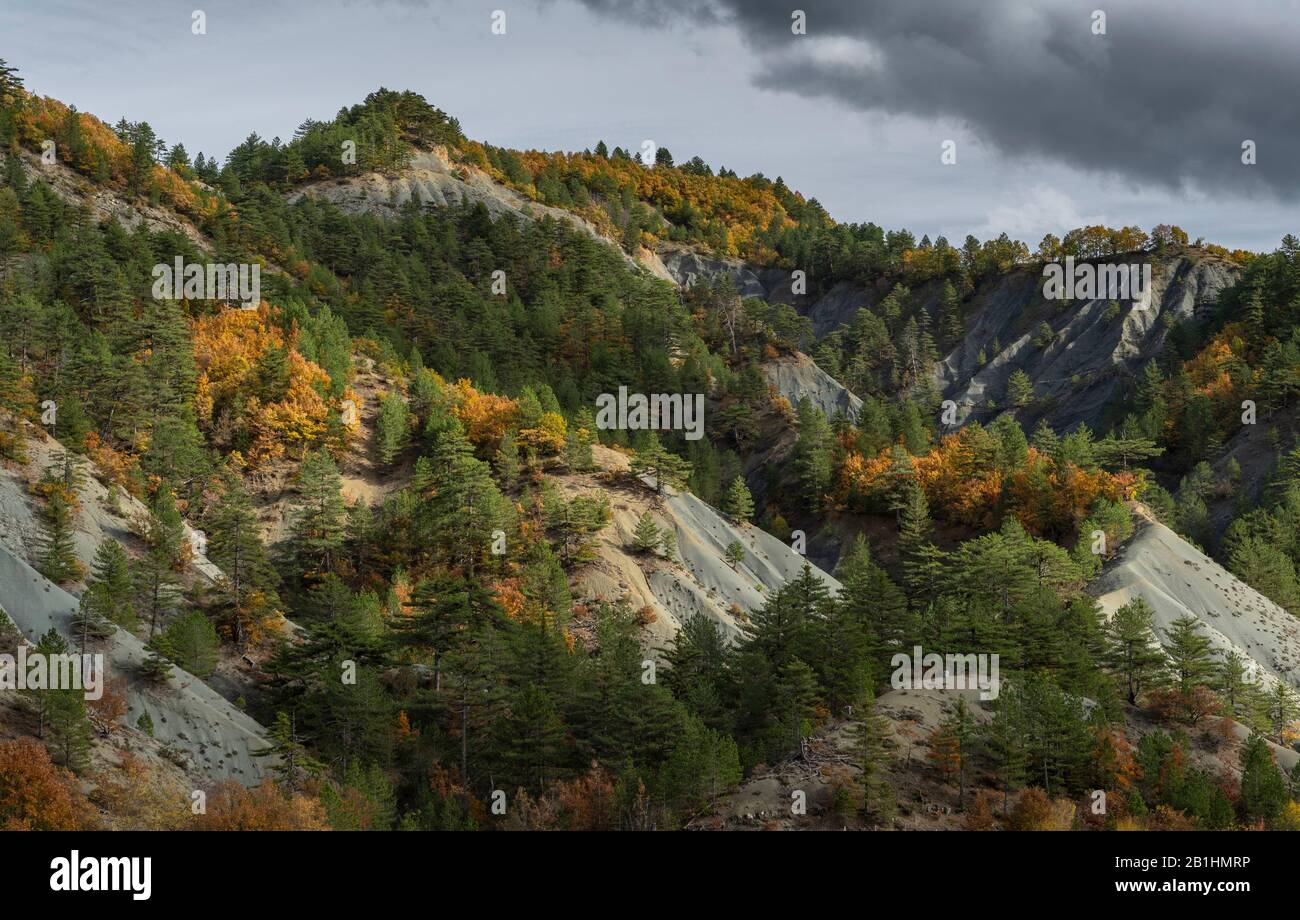 Gorge à travers le calcaire et les blaids sur la route Nestoriou-Eptachoriou en Macédoine, automne, Grèce du Nord. Banque D'Images