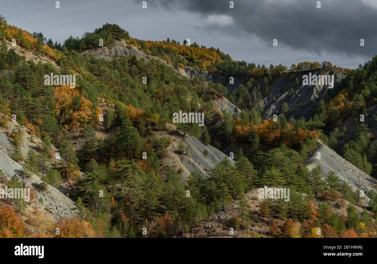 Gorge à travers le calcaire et les blaids sur la route Nestoriou-Eptachoriou en Macédoine, automne, Grèce du Nord. Banque D'Images