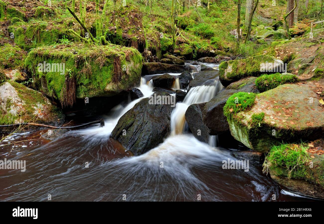 Wyming Brook,réserve naturelle,cascades de chutes d'eau,district de pic,Sheffield,Angleterre,Royaume-Uni Banque D'Images