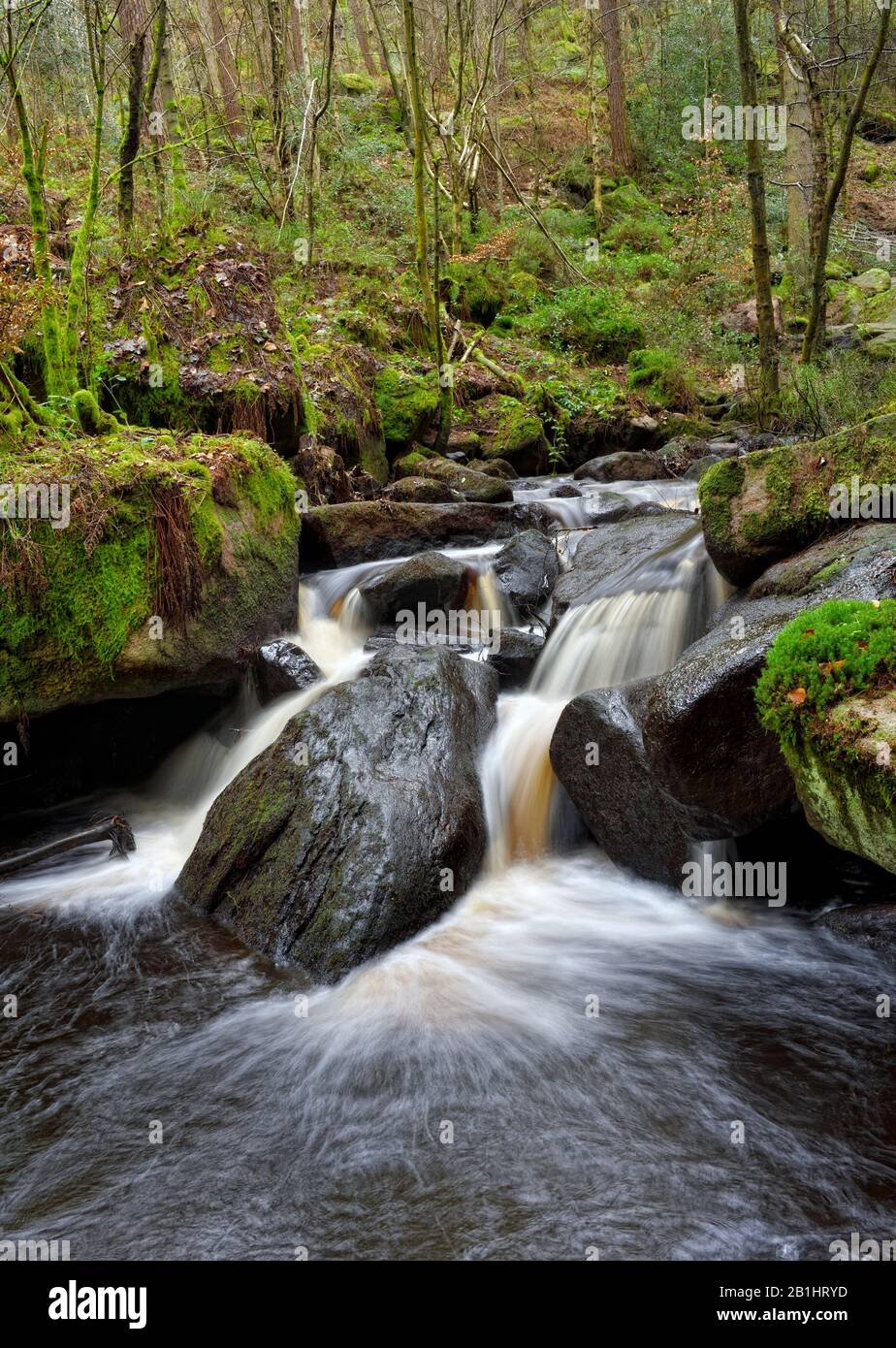 Wyming Brook,réserve naturelle,cascades de chutes d'eau,district de pic,Sheffield,Angleterre,Royaume-Uni Banque D'Images