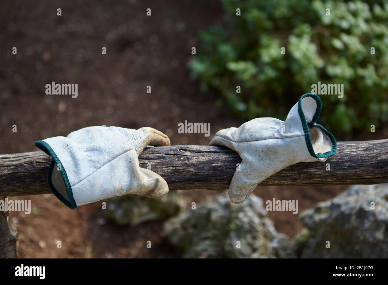 Gants de jardinage sur un jardin Banque D'Images